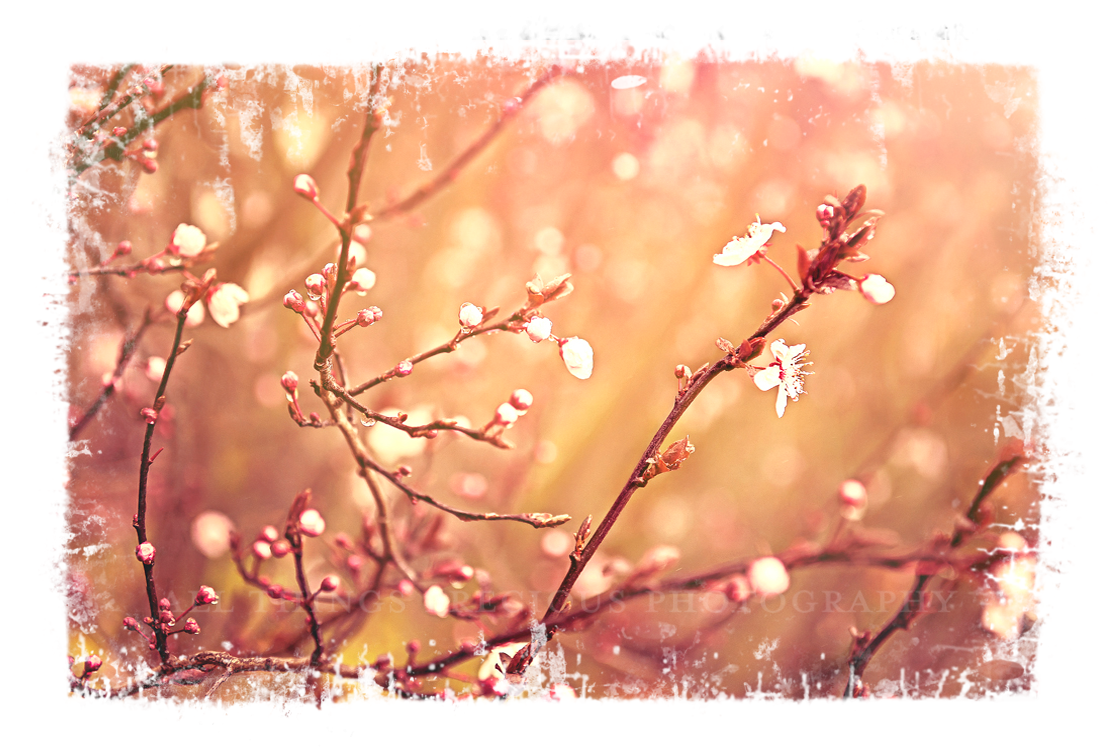 16 GRUNGE Clipping Masks, Fine Art High Resolution Overlays for Photographers, Digital Art and Scrapbooking. Photoshop Photography. Fine art realistic. In high resolution, perfect for your next edit or project! Png graphic photography assets. Sublimation art. ATP Textures